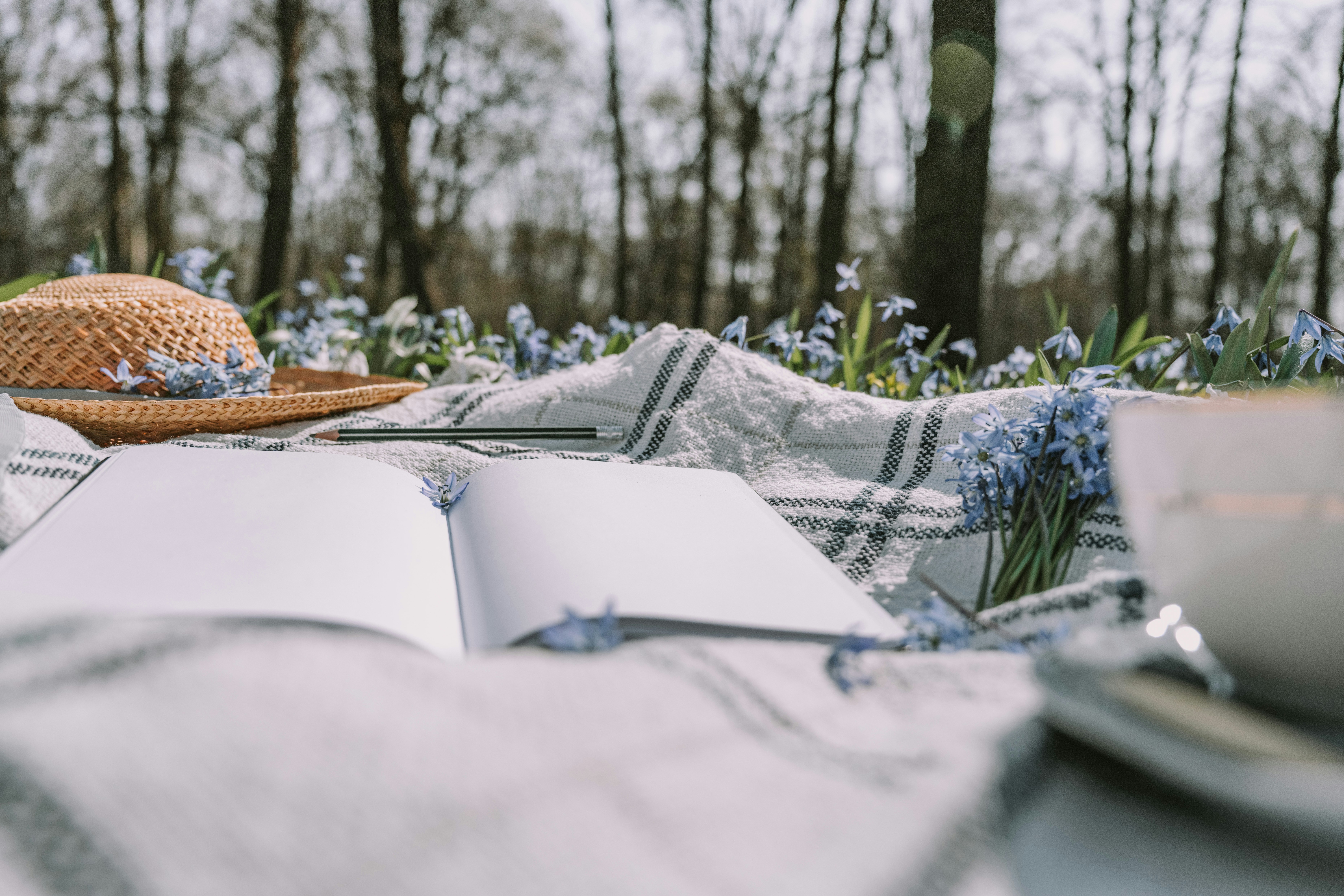 Photo by anitaaustvika