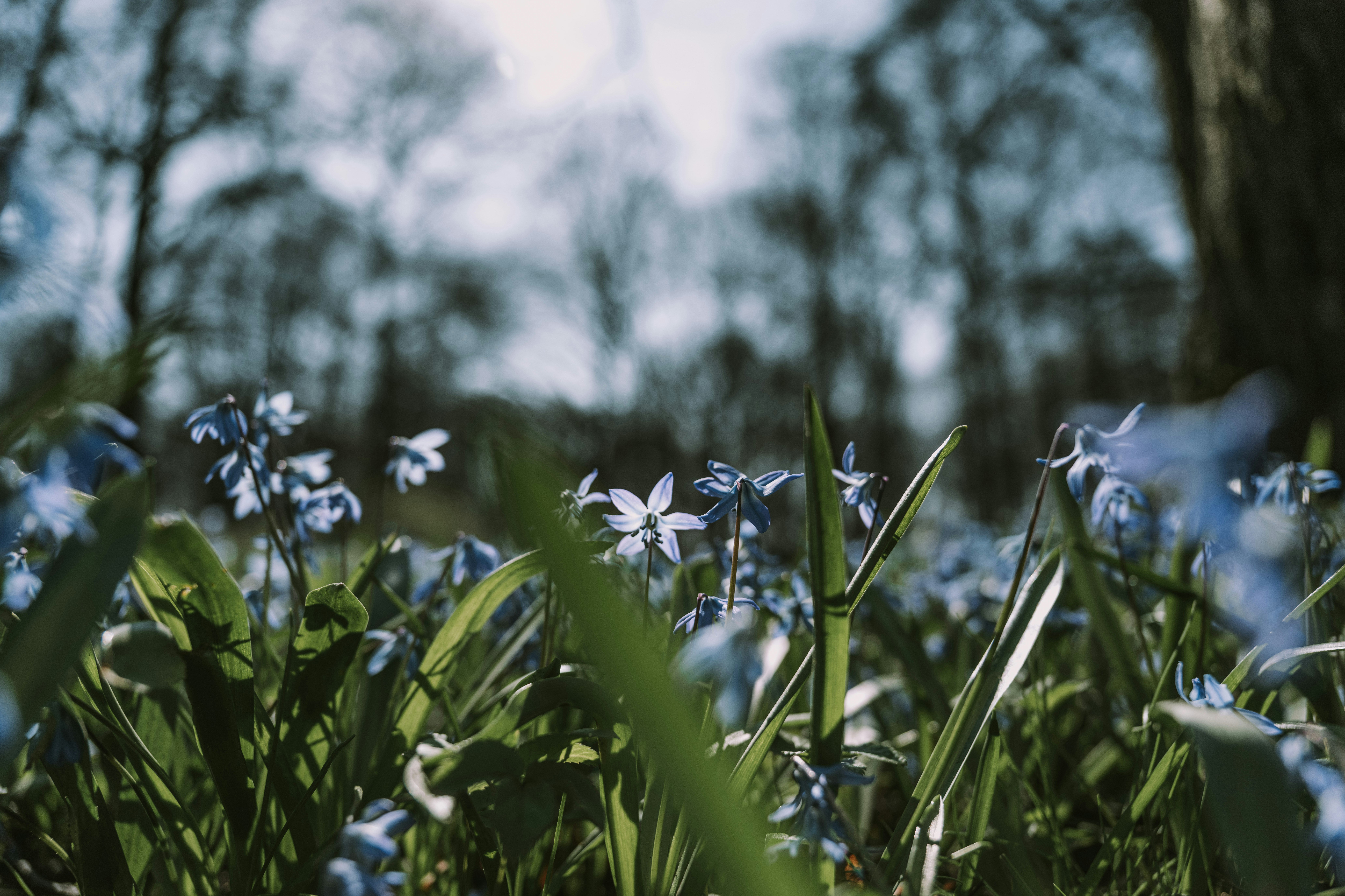 Photo by anitaaustvika