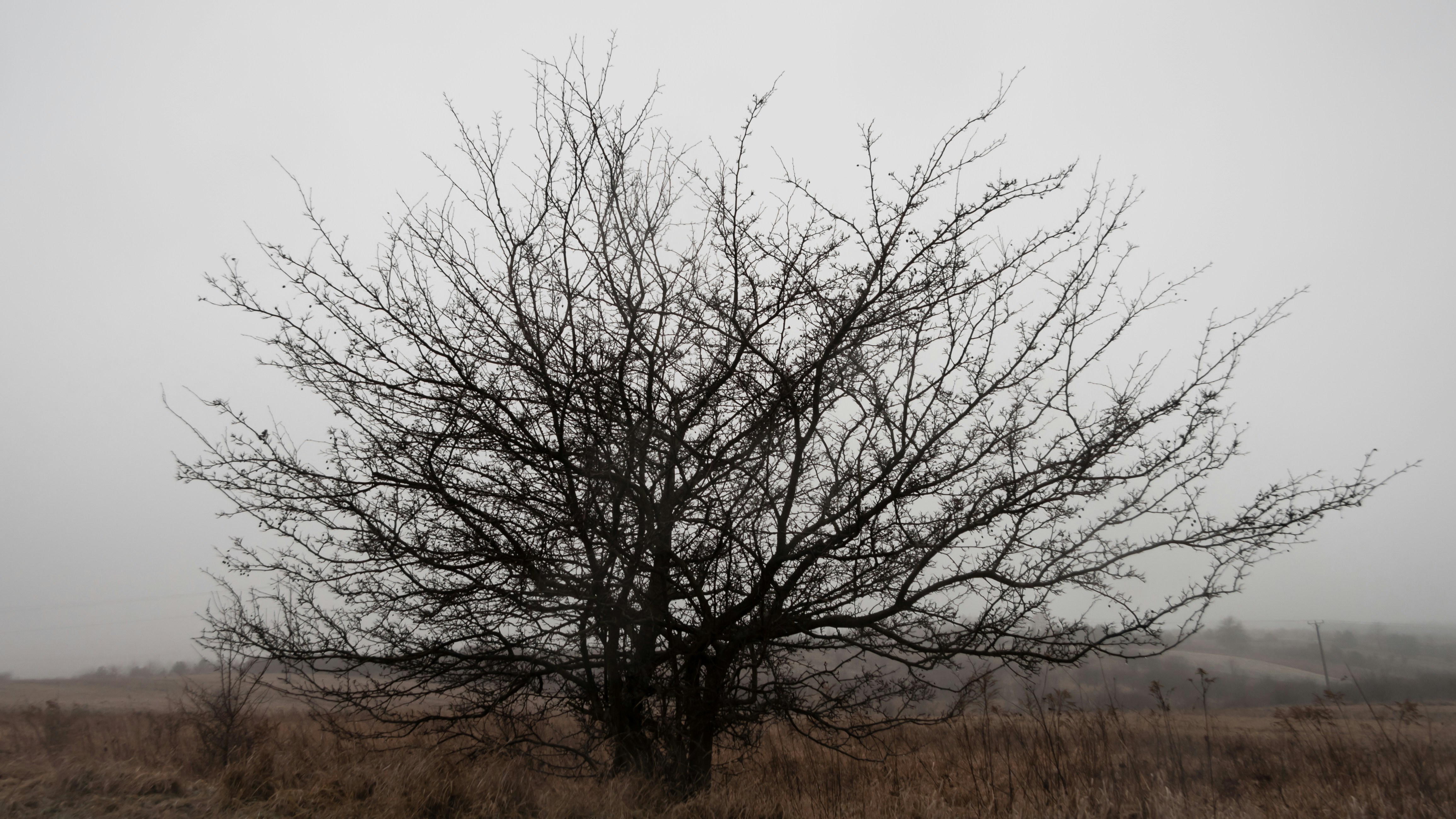 Photo by rafalkaron