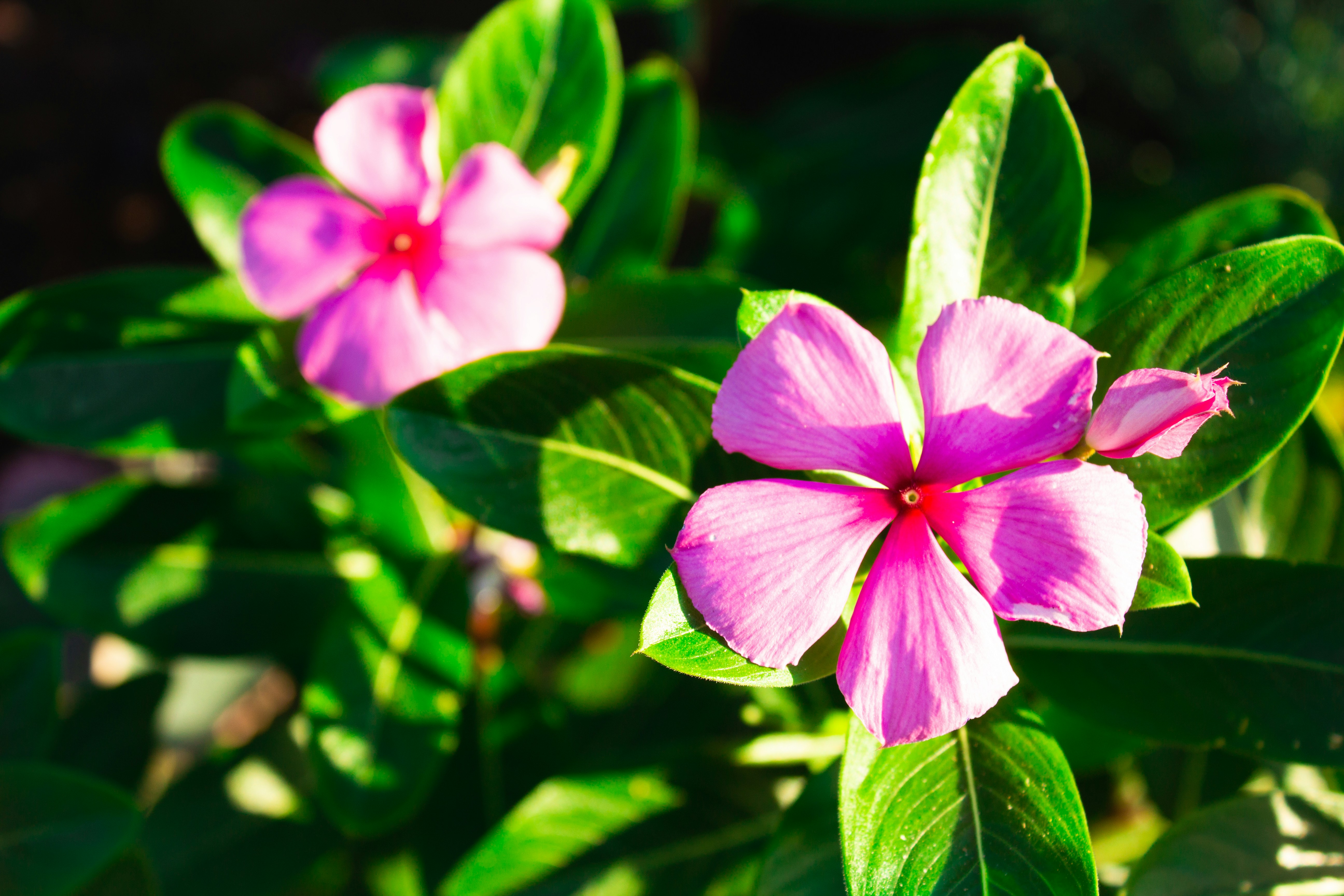 Photo by jerryneedscoffee