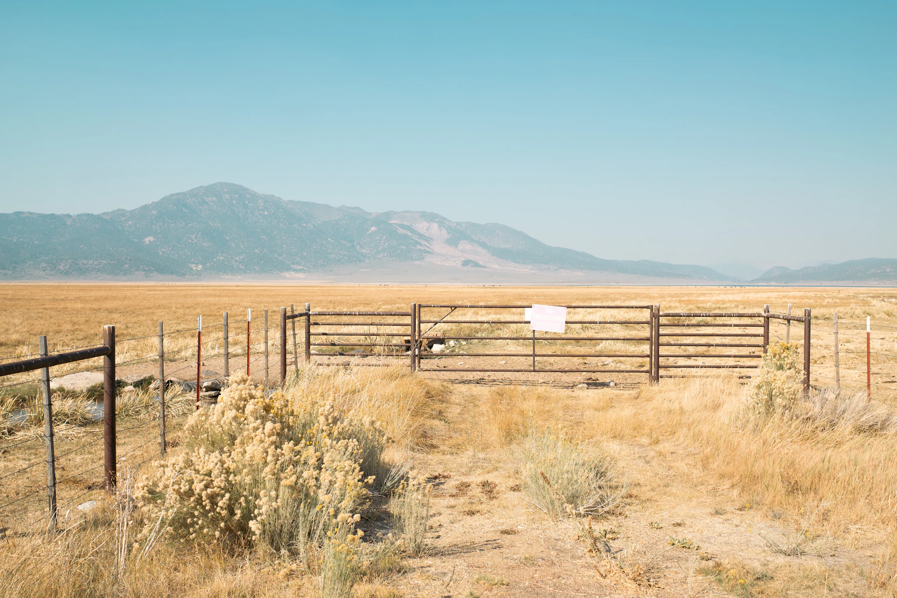 A steel corral gate standing open in dry scrub, mountains behind