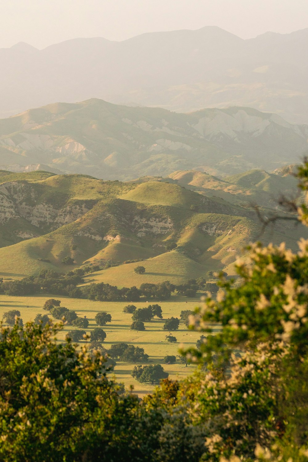 una vista di una valle con le montagne sullo sfondo