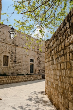 Analog film photograph of a sunlit narrow alley with textured walls and scattered leaves.