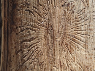 Custom laser-engraved wooden sign with intricate nature-inspired patterns.