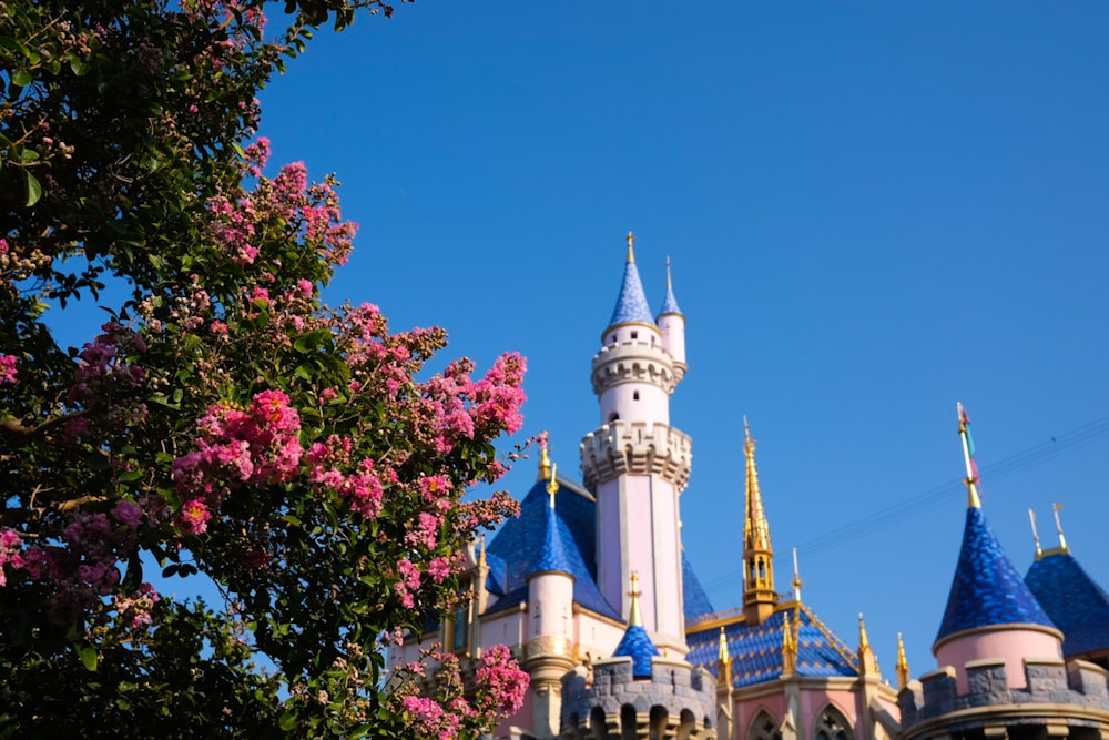 a view of a castle from behind a tree