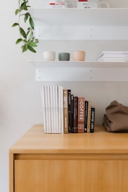 Close-up of hands organizing books and small plants on a shelf in a neat apartment.