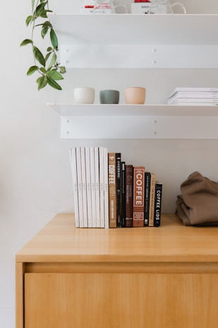 A minimalist office corner with a lockable filing cabinet and a clean wooden bookshelf filled with books and plants.