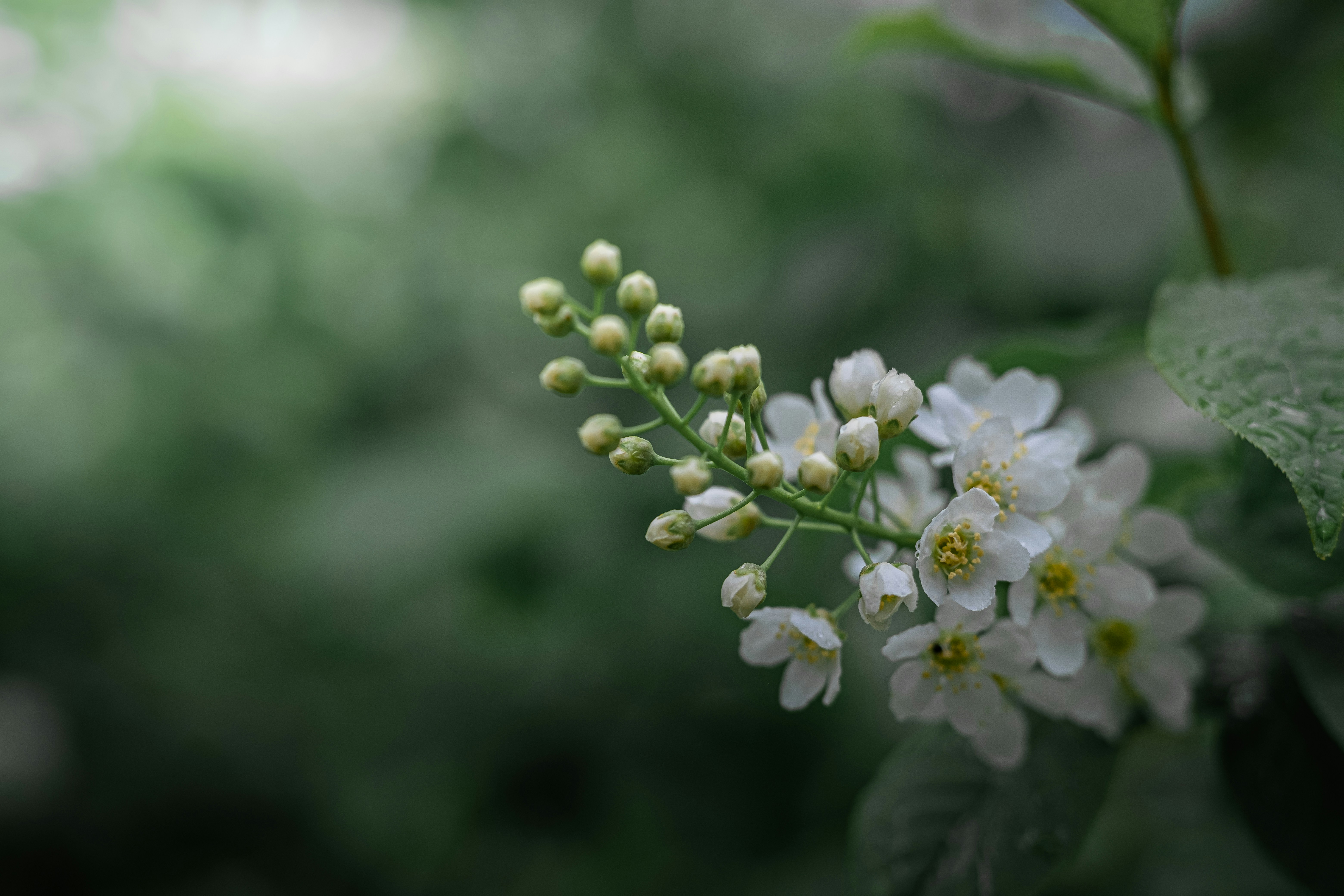 Photo by veronasenpai