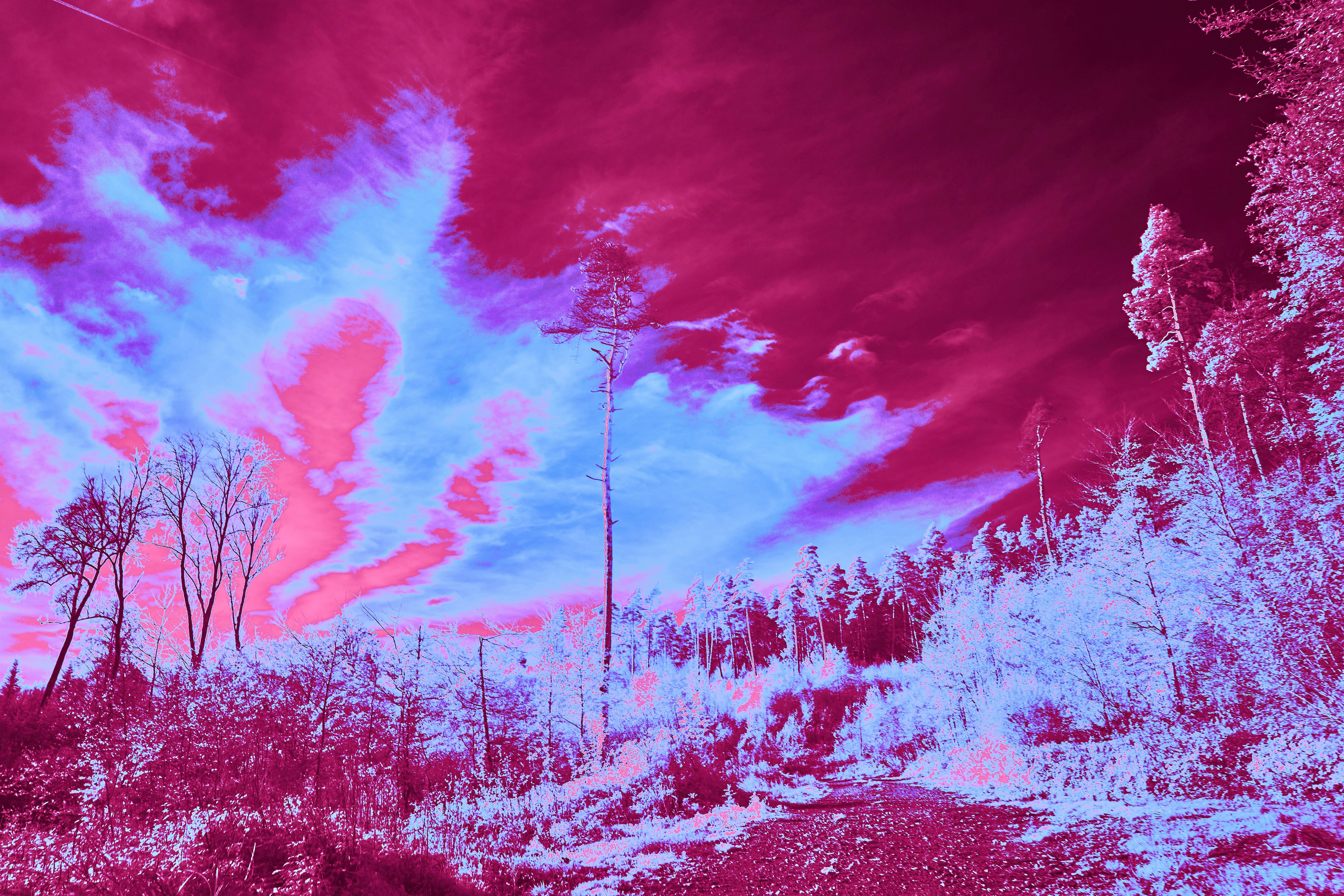 Photo by wolfgang_hasselmann