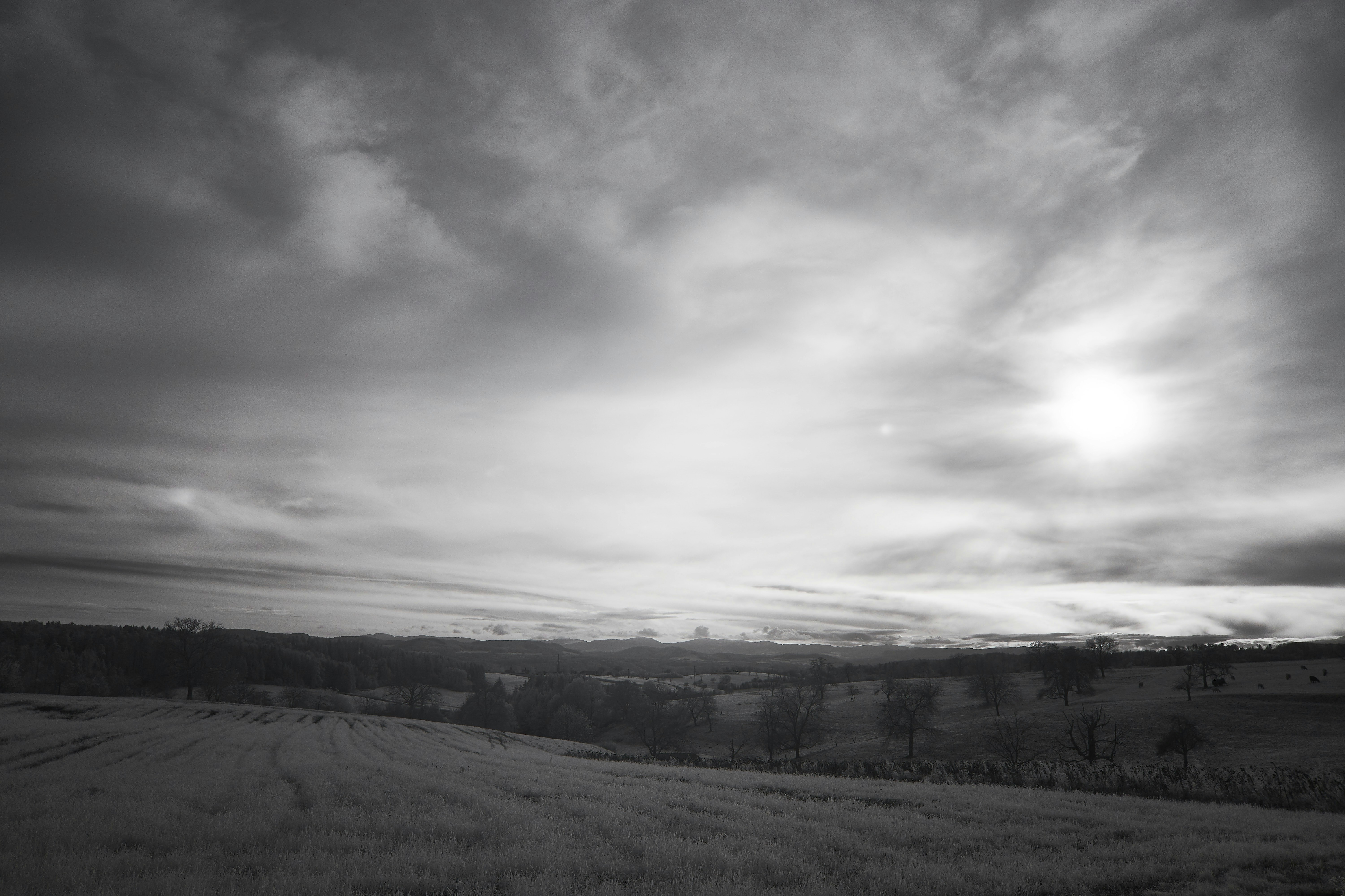 Photo by wolfgang_hasselmann