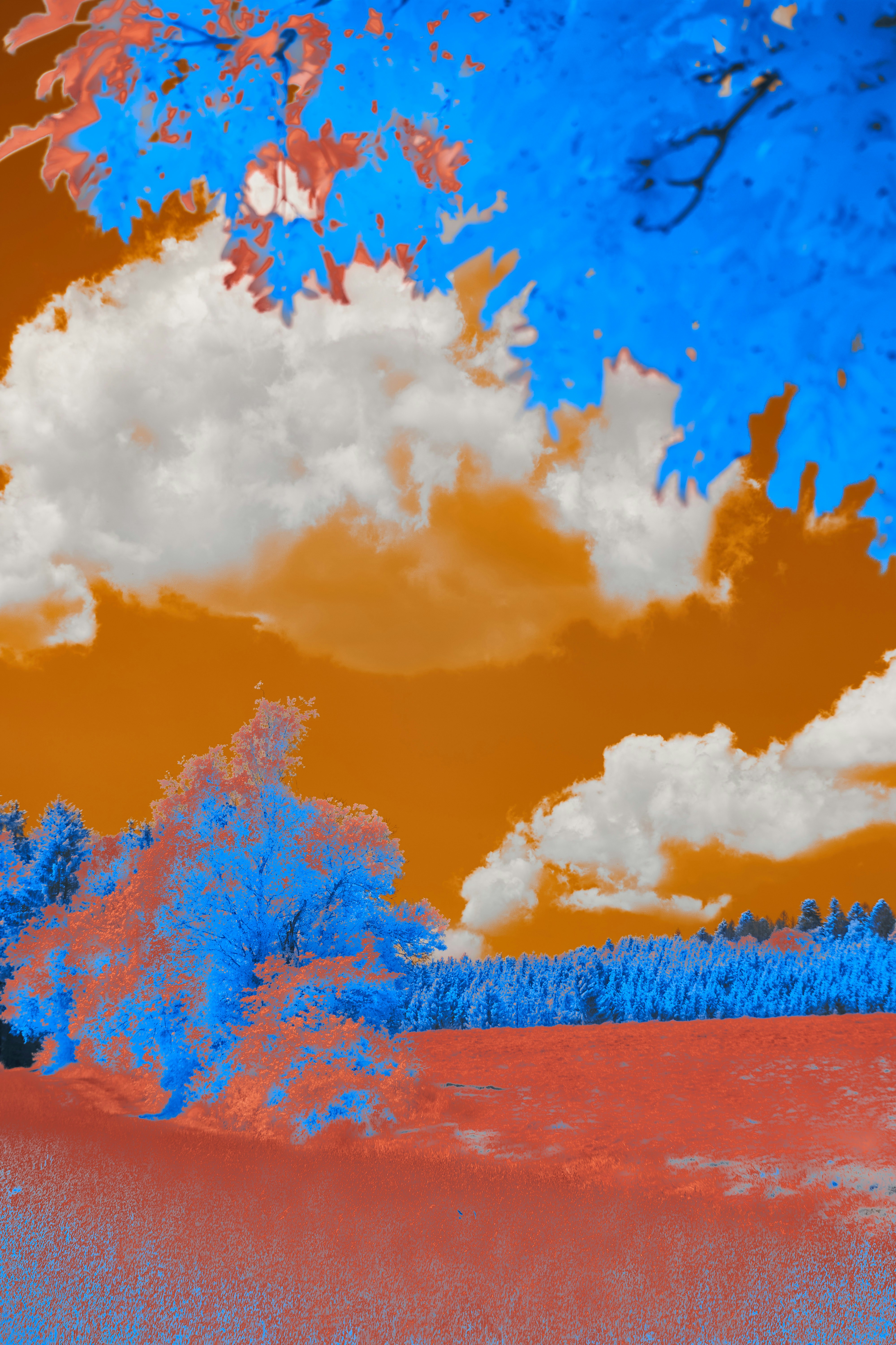 Photo by wolfgang_hasselmann