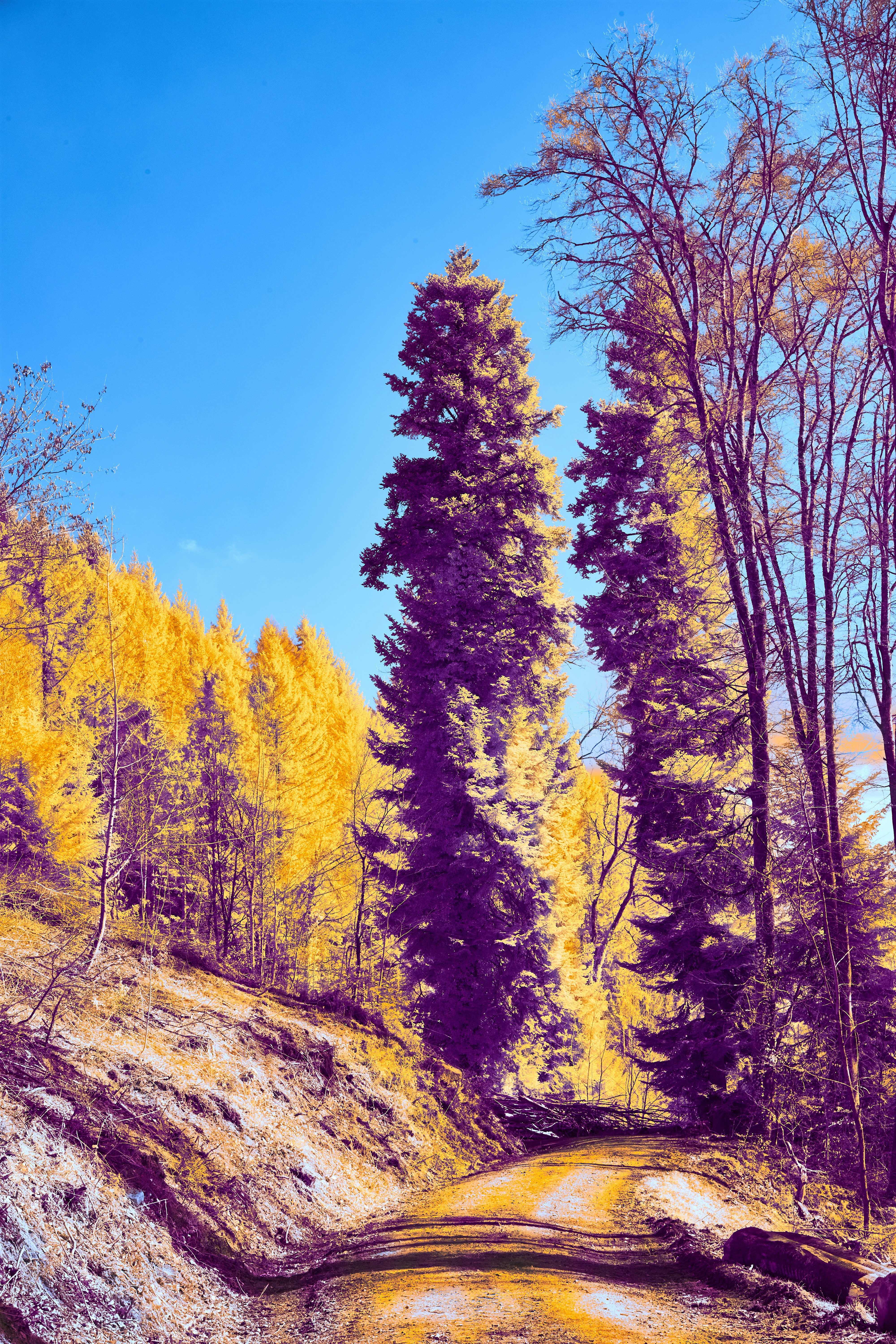 Photo by wolfgang_hasselmann