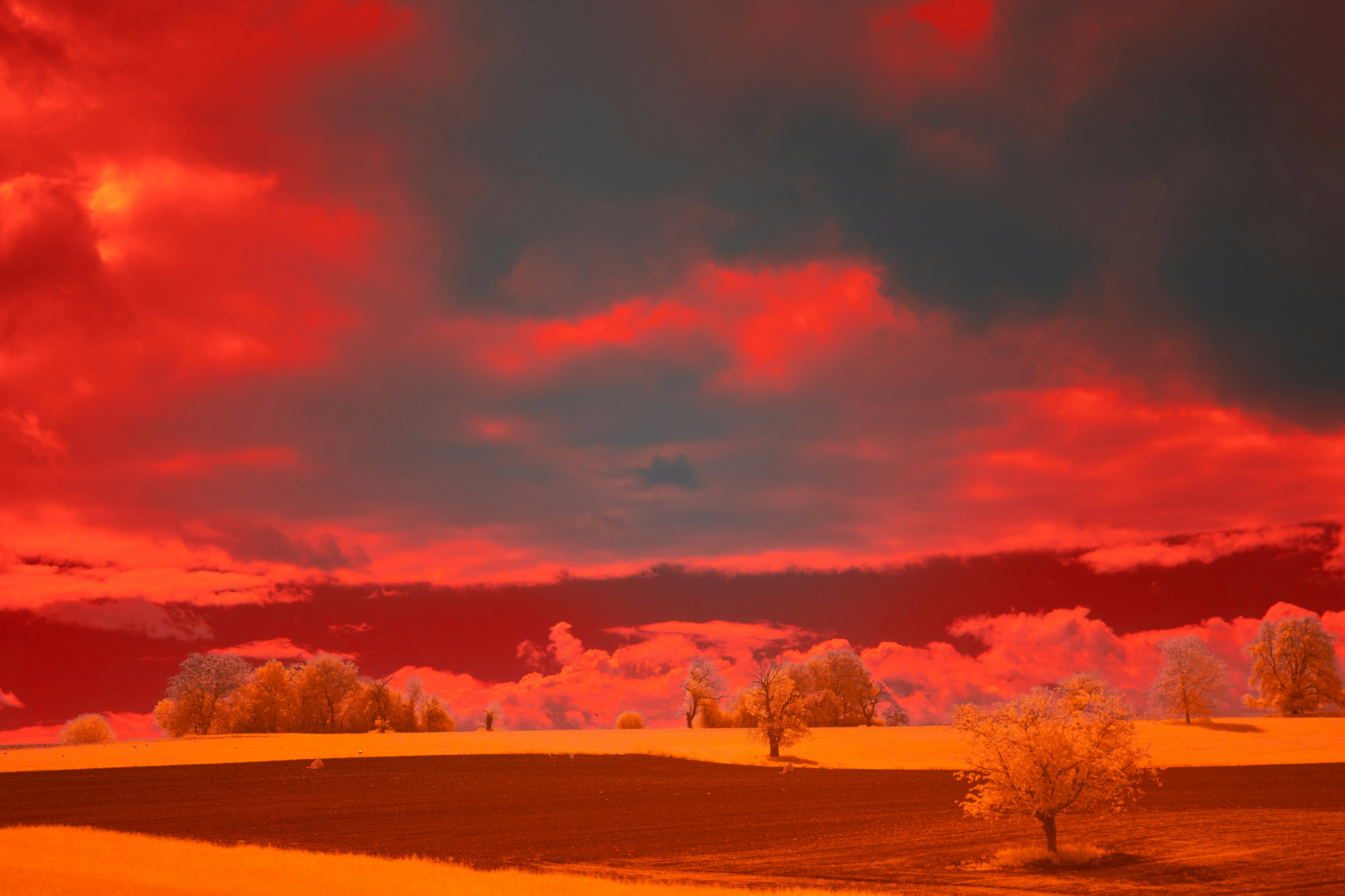 Photo by wolfgang_hasselmann