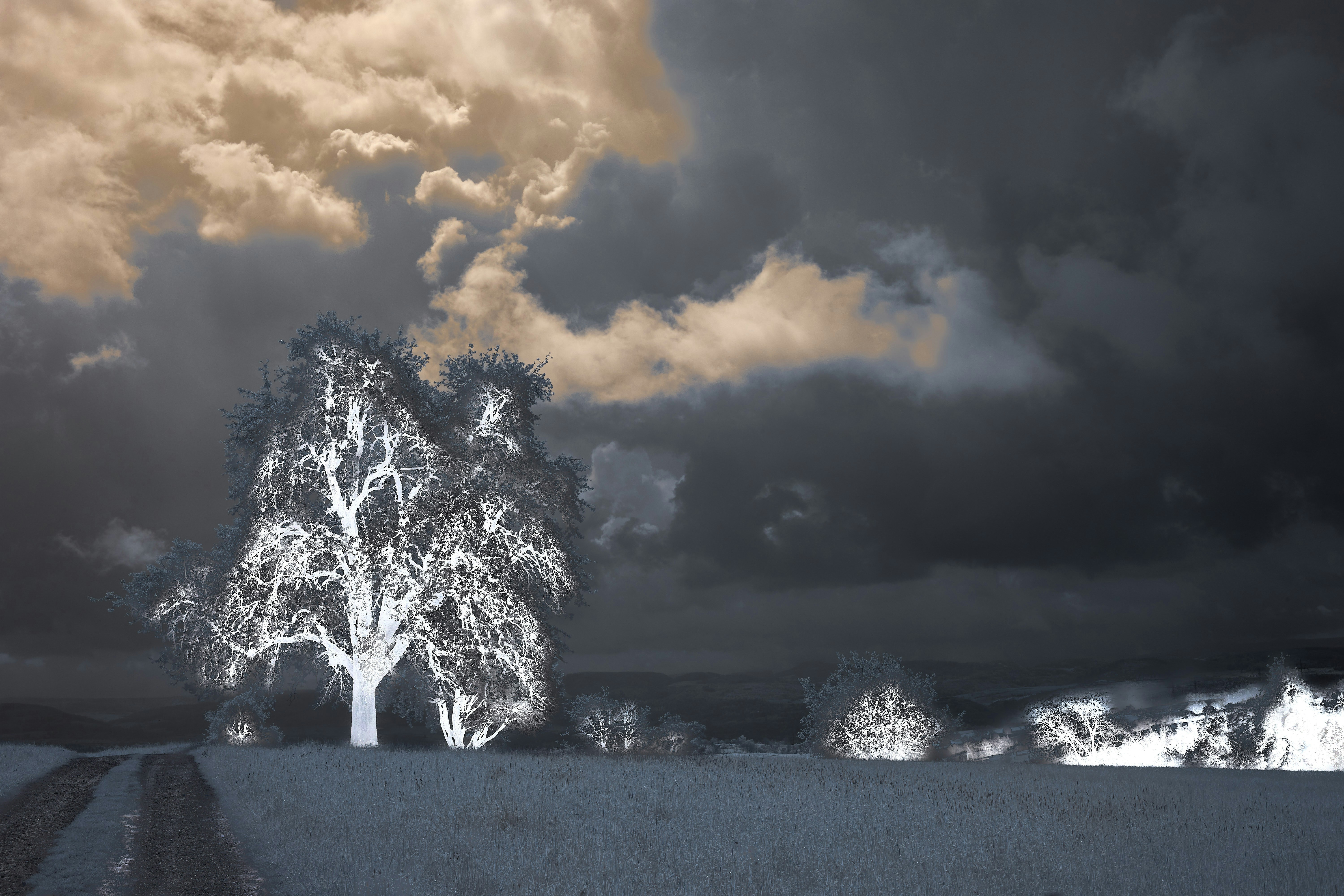 Photo by wolfgang_hasselmann