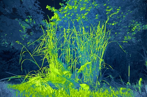 A vibrant ecosystem simulation with layered AI data overlays in neon blue and green hues.