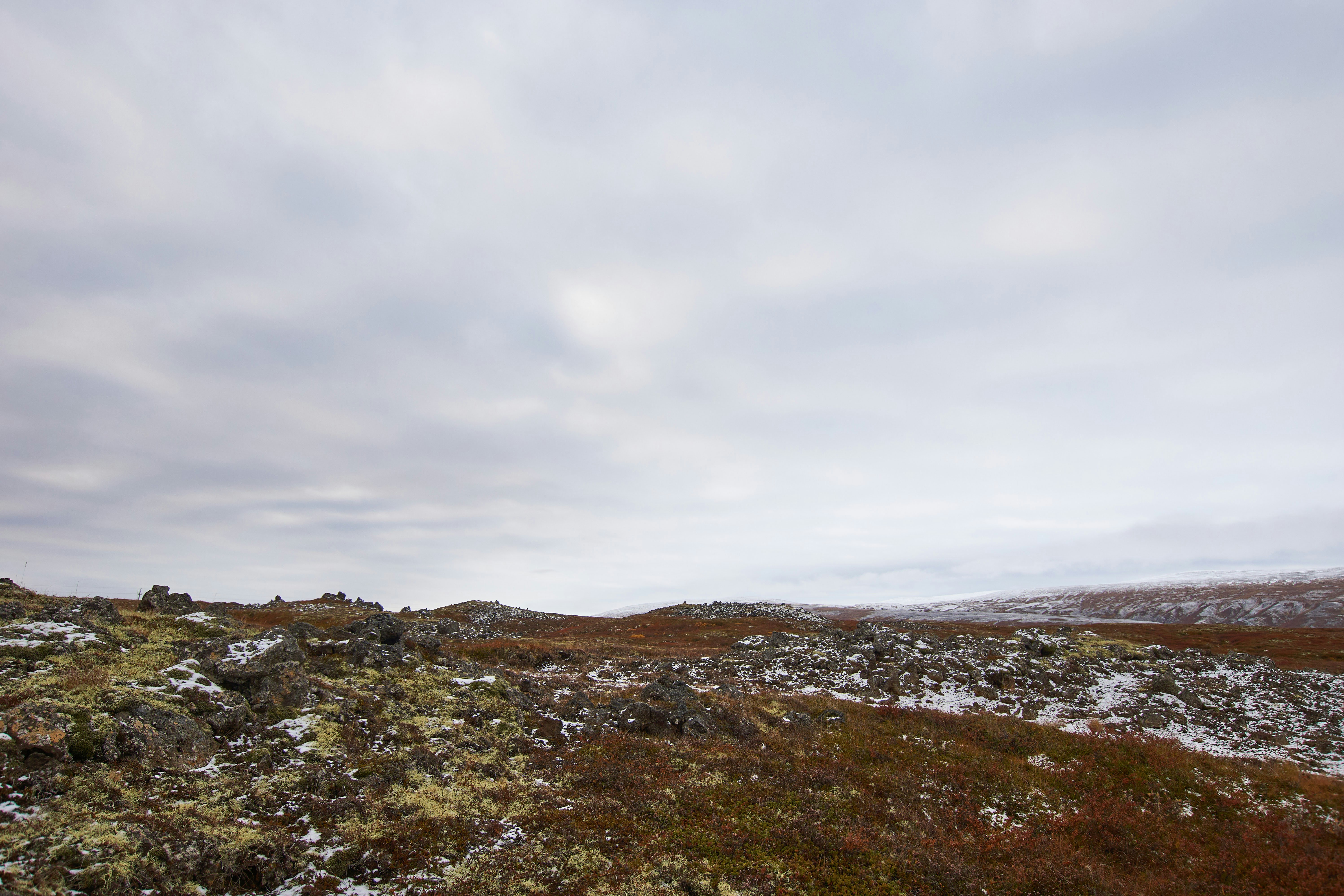 Photo by wolfgang_hasselmann