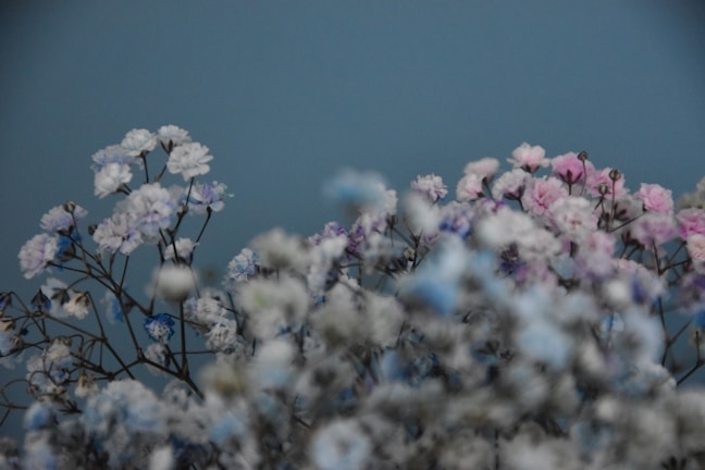 A pastel blue flower bouquet with delicate editing and soft lighting
