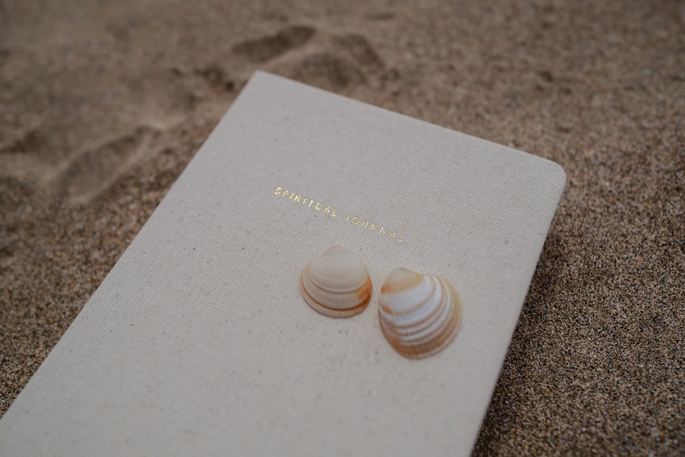 a book with two seashells on top of it