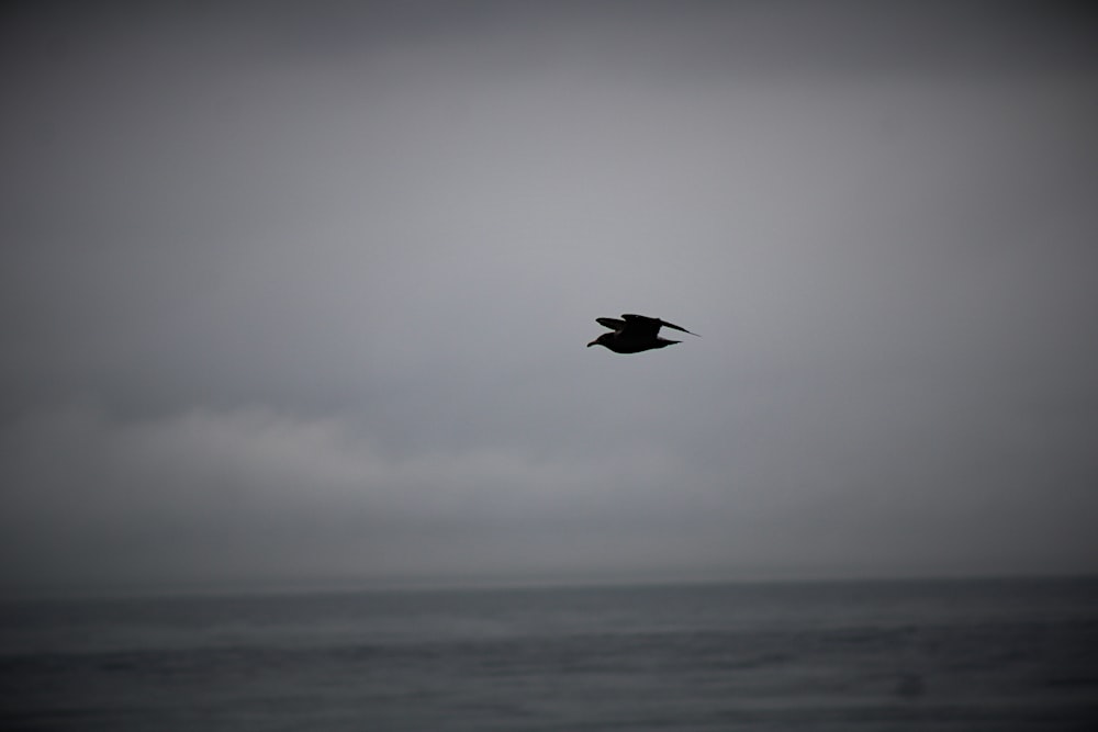 a bird flying over the ocean on a cloudy day