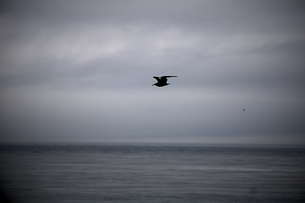 a bird flying over the ocean on a cloudy day