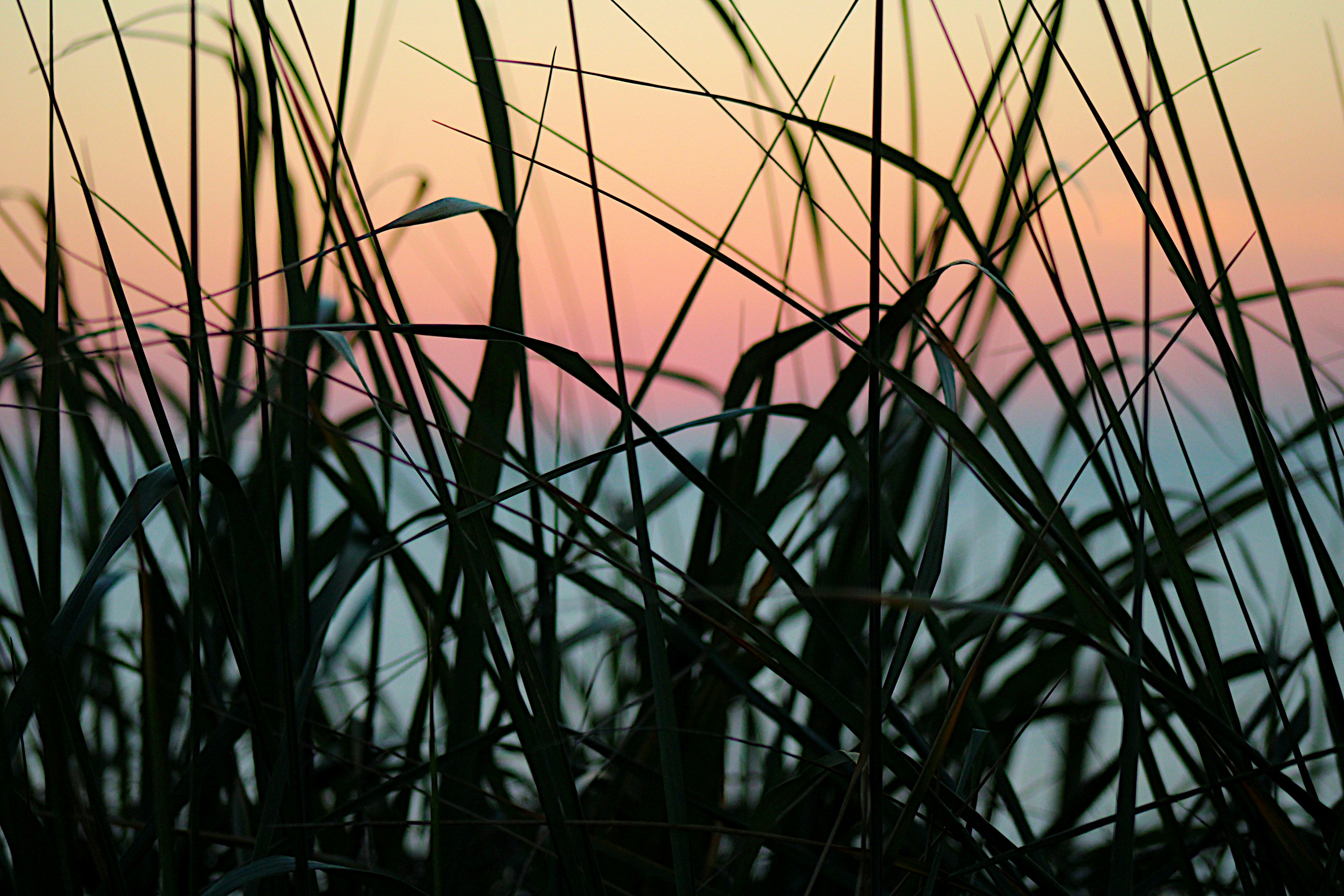 Photo by isaacstevenlind