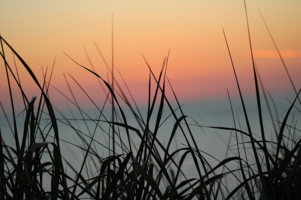 the sun is setting over a body of water