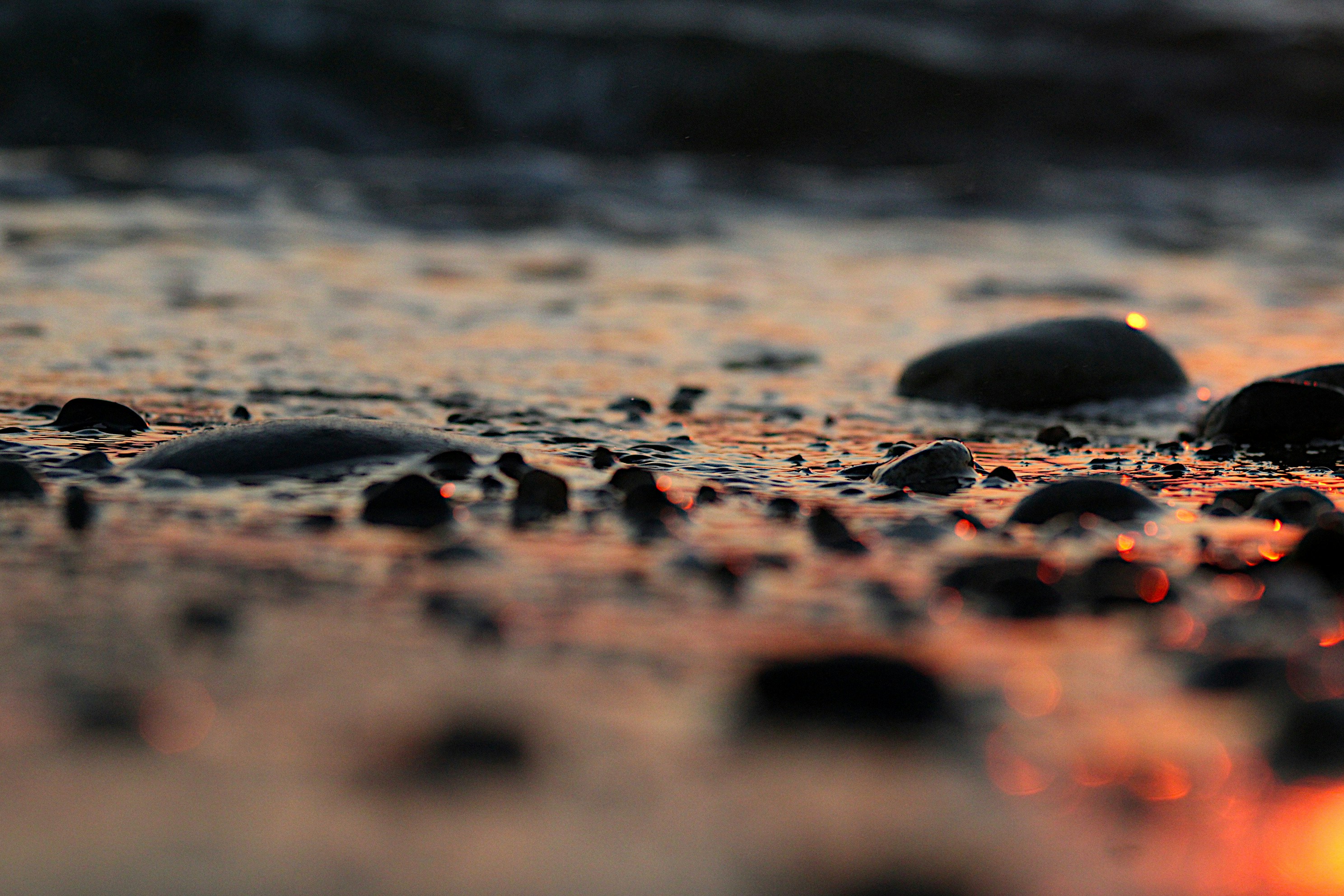 Photo by isaacstevenlind