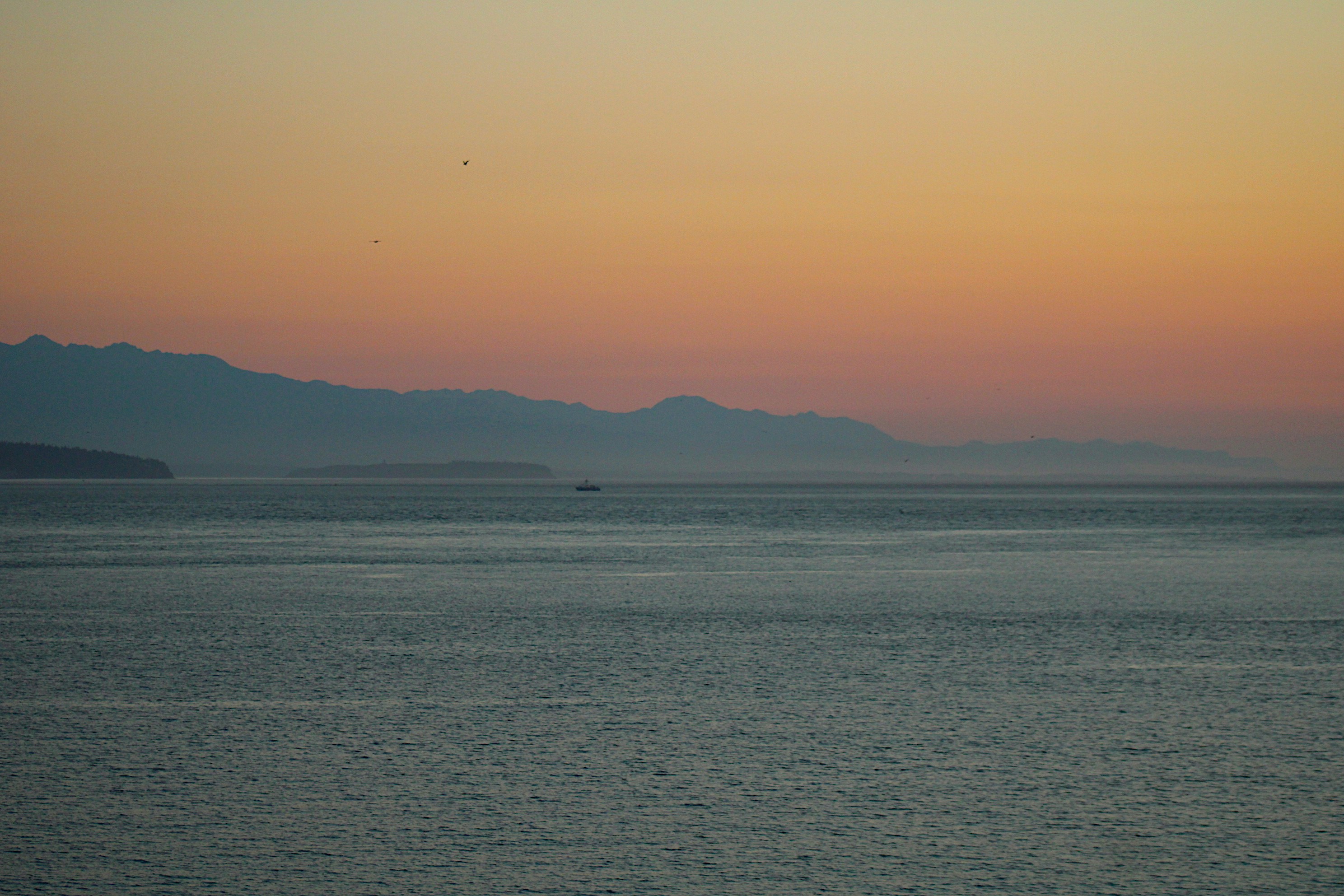 Photo by isaacstevenlind