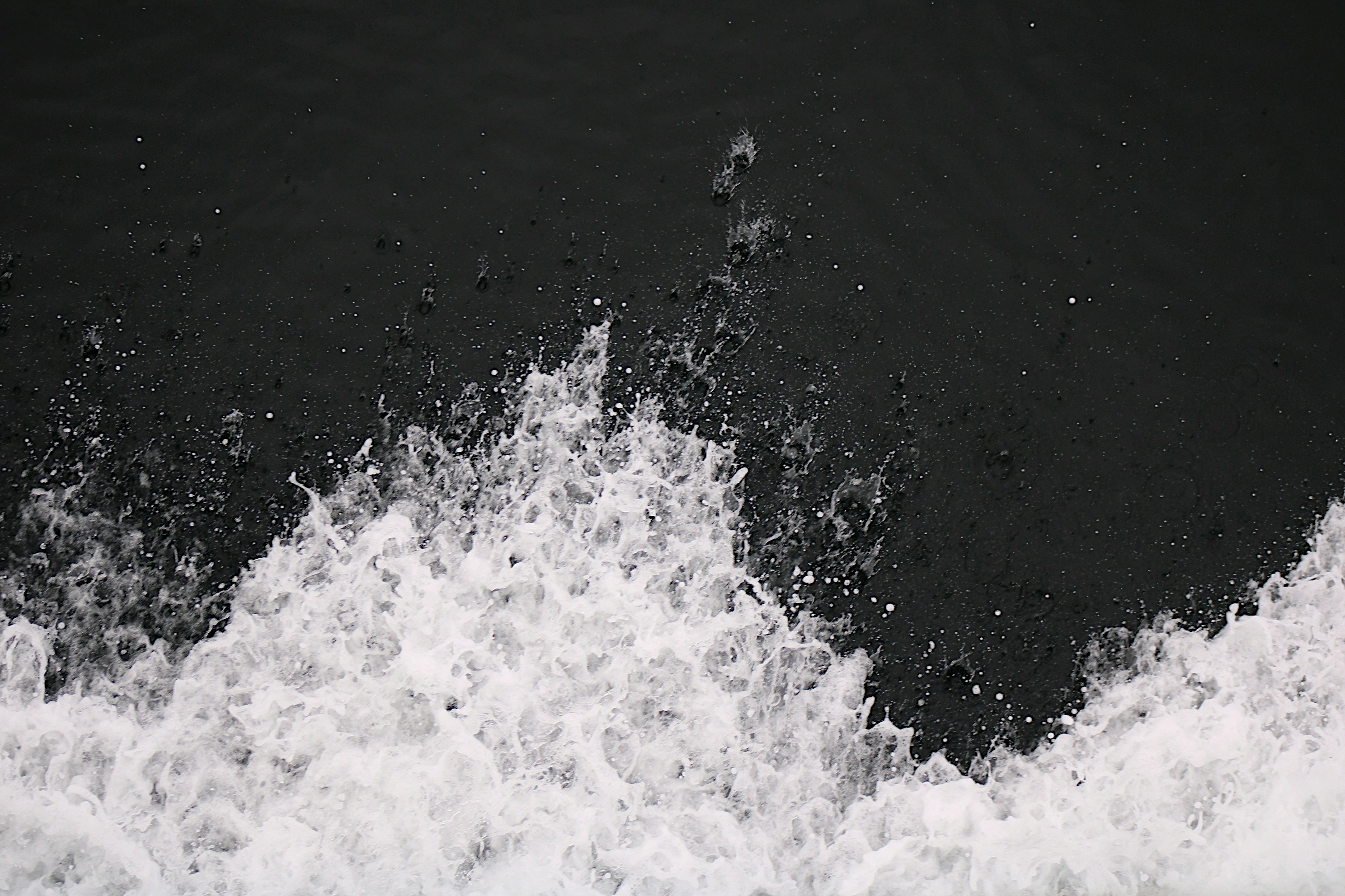 Photo by isaacstevenlind