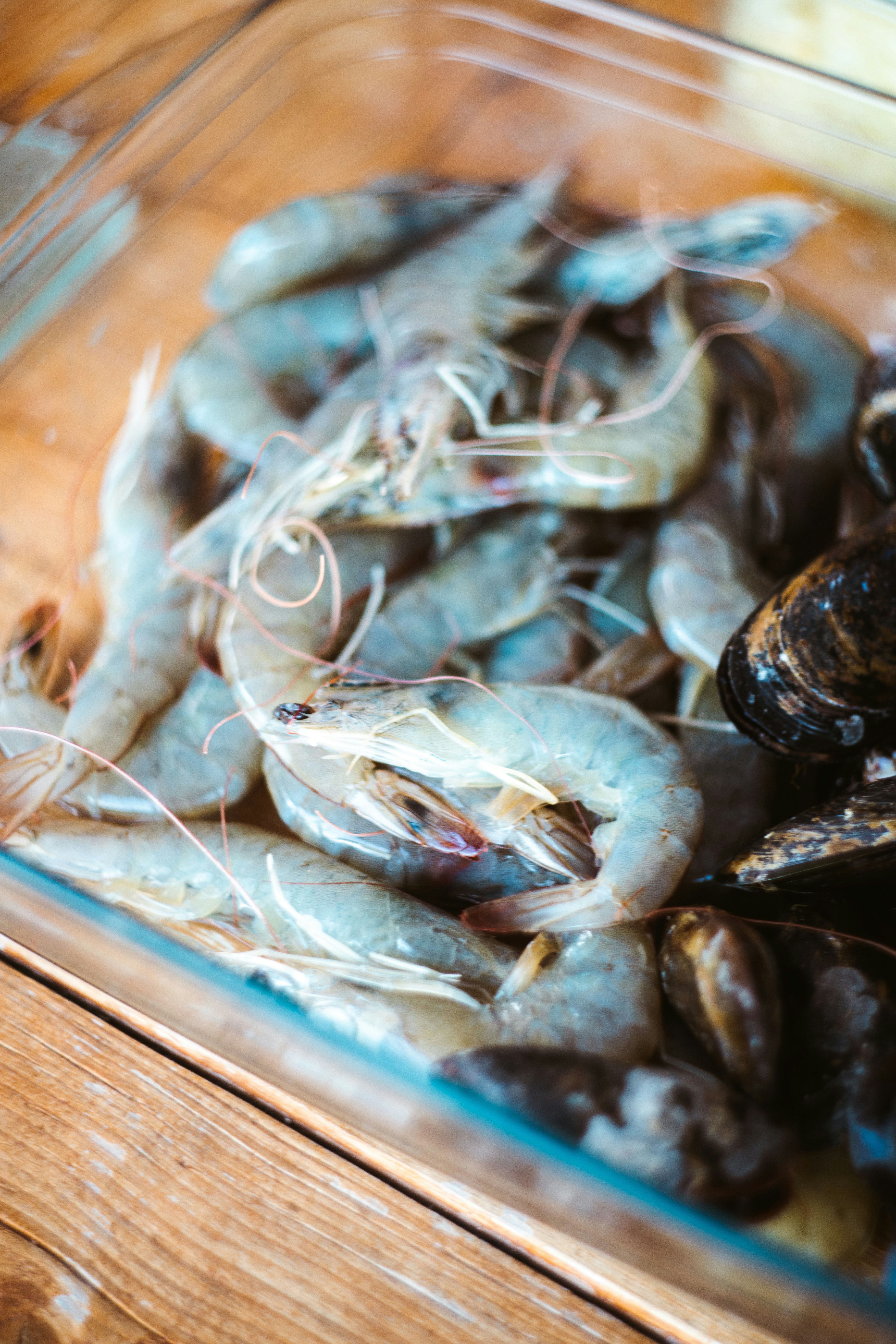 Photo by brunovdkraan