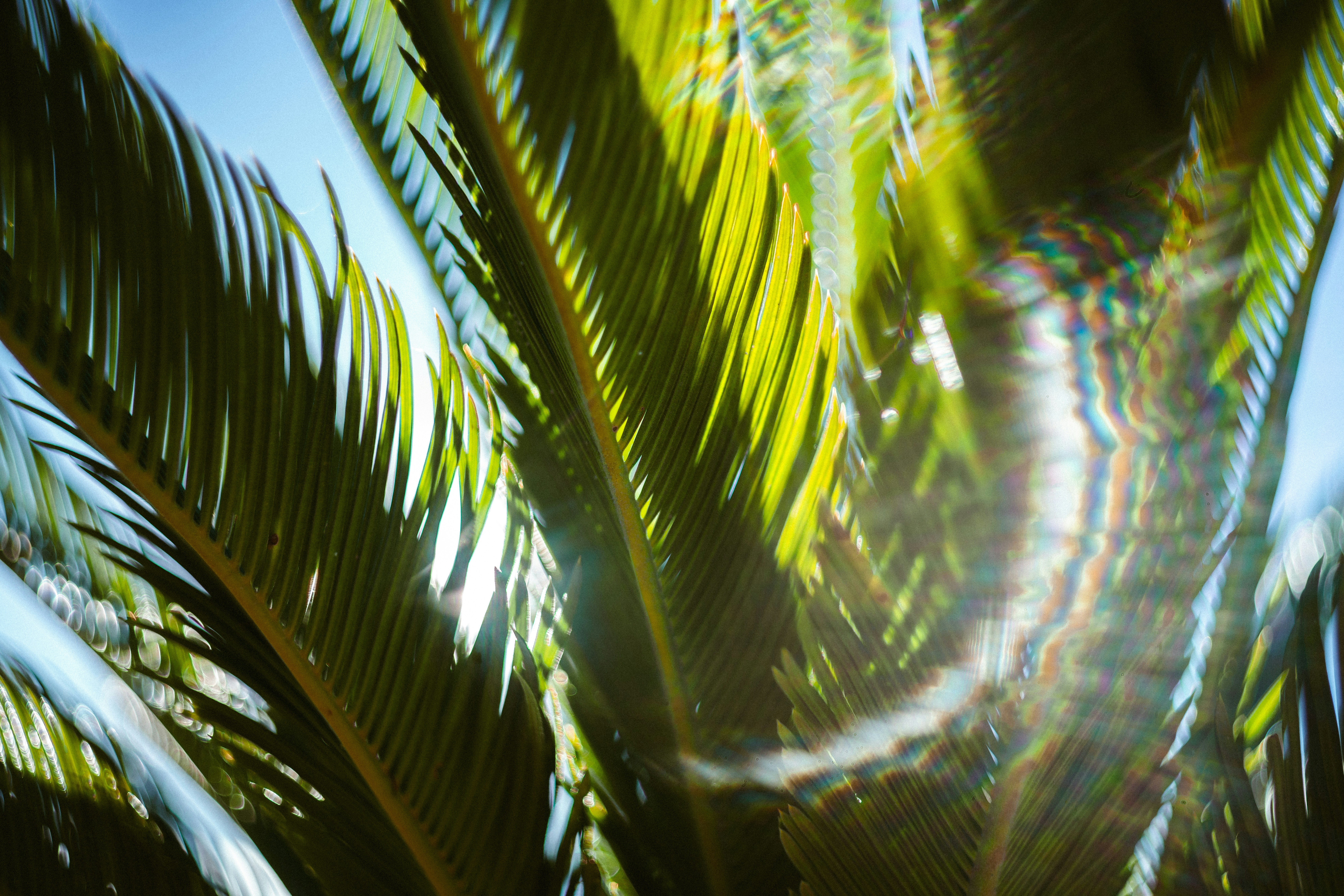 Photo by brunovdkraan