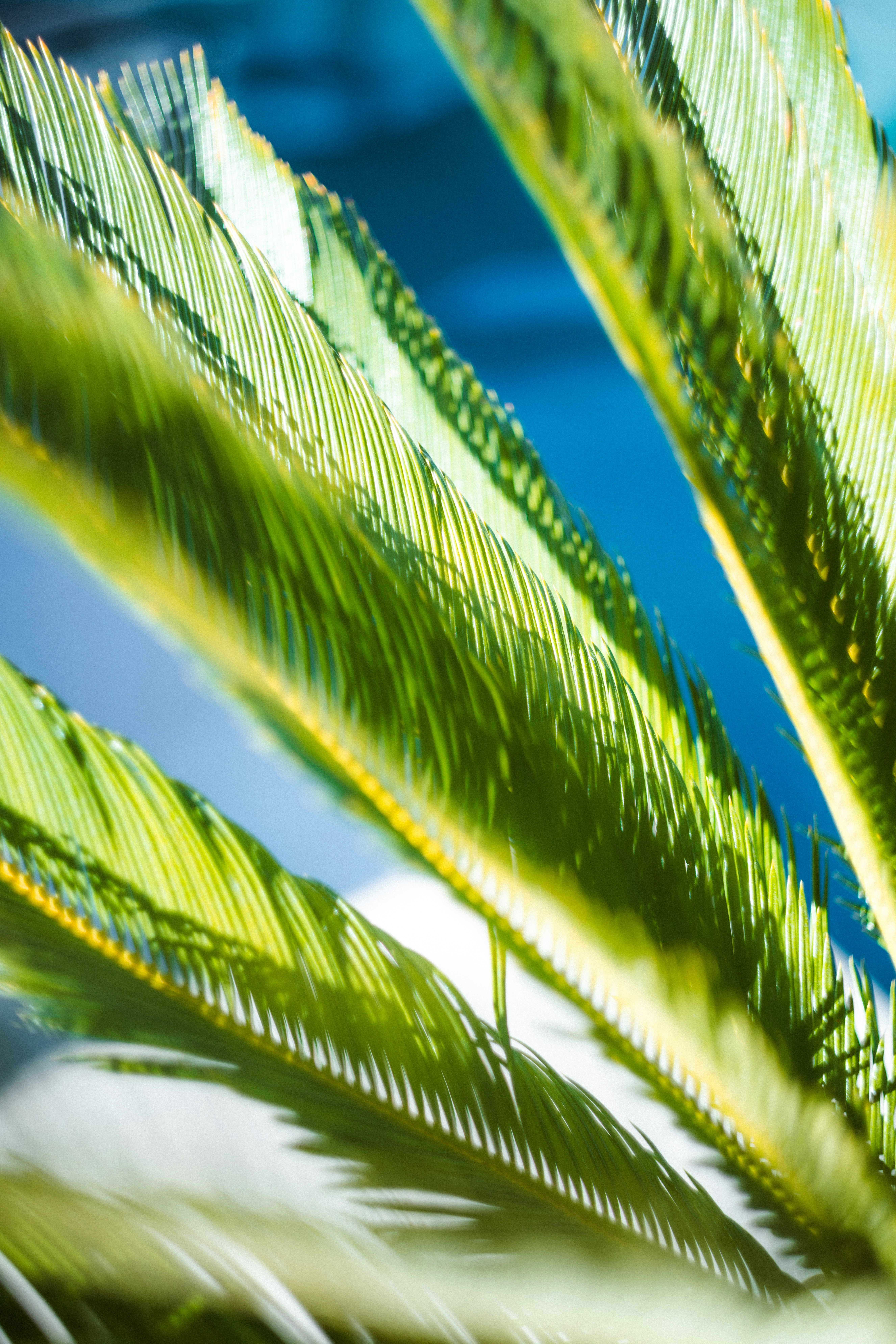 Photo by brunovdkraan