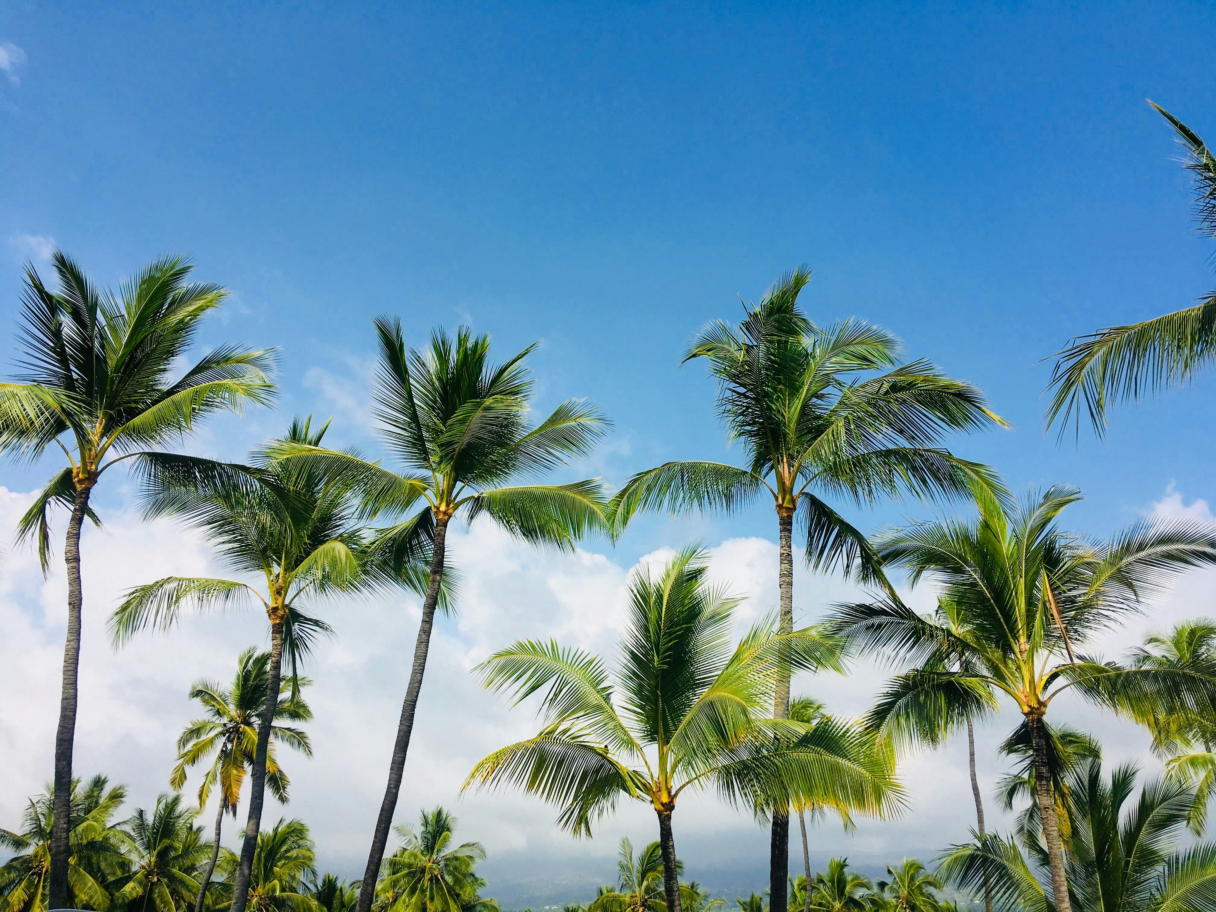 Photo by roxartandphoto