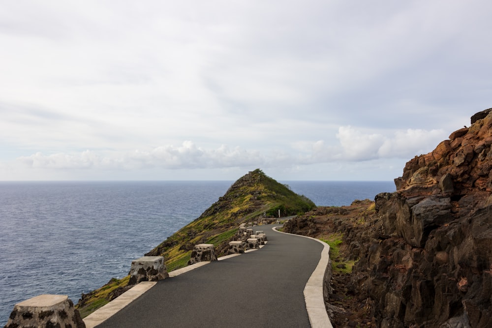 a paved road next to the ocean with sheep on it