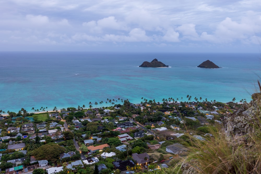 a view of the ocean from a hill