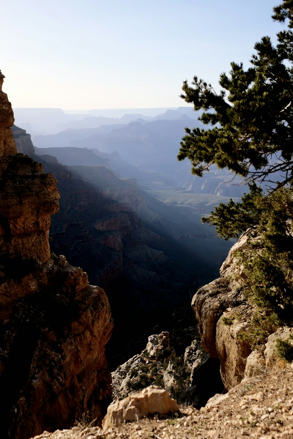 a view of a rocky cliff with a tree in the foreground