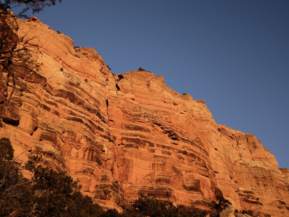 a very tall mountain with some trees in front of it