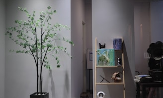 An indoor scene featuring a tall artificial tree with green leaves, placed next to a wooden shelf. The shelf holds various items including books, decorations, and a retro camera. To the right, there is an old-fashioned gramophone and some stacked books. The walls and the environment give a minimalist and modern vibe.