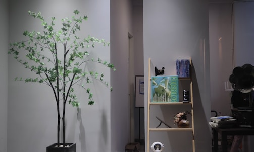 An indoor scene featuring a tall artificial tree with green leaves, placed next to a wooden shelf. The shelf holds various items including books, decorations, and a retro camera. To the right, there is an old-fashioned gramophone and some stacked books. The walls and the environment give a minimalist and modern vibe.