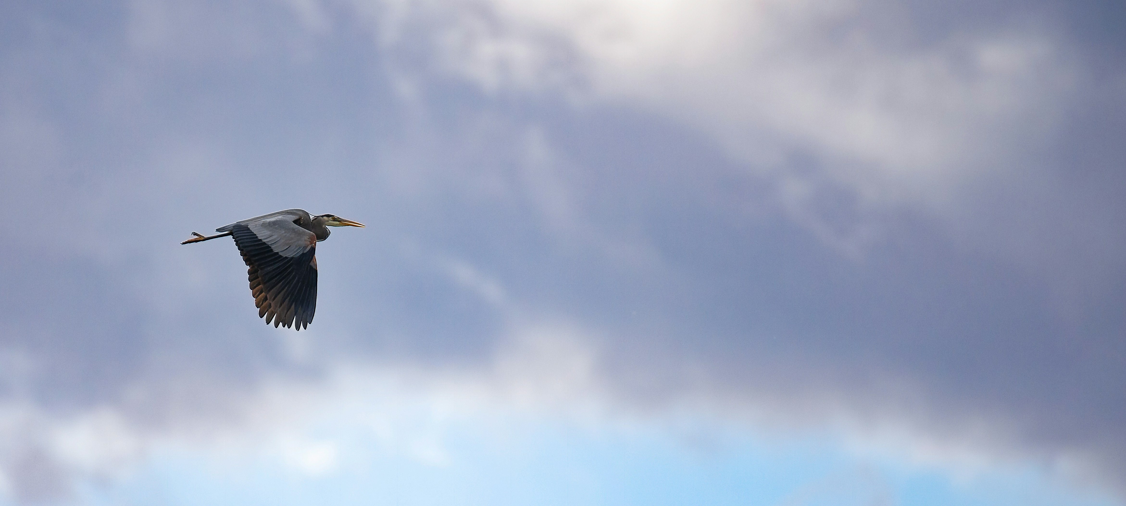 photo-1681955073591-513fbfe48094?ixid=M3wxMjA3fDB8MXxzZWFyY2h8NHx8JUUwJUI4JTlCJUUwJUI4JUEzJUUwJUI4JUIwJUUwJUI5JTgwJUUwJUI4JUEwJUUwJUI4JTk3JUUwJUI4JTgyJUUwJUI4JUFEJUUwJUI4JTg3JUUwJUI4JUEzJUUwJUI4JUIxJUUwJUI4JTg3JUUwJUI4JTk5JUUwJUI4JTgxfGVufDB8fHx8MTc2NzYyMTk4Nnww\u0026ixlib=rb-4.1.0