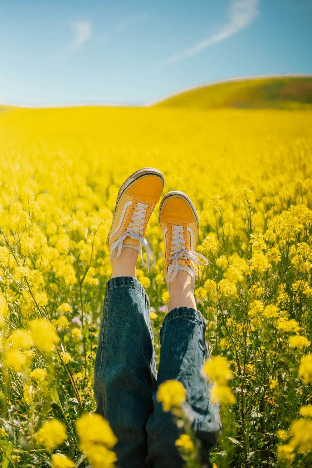 a person standing in a field of yellow flowers