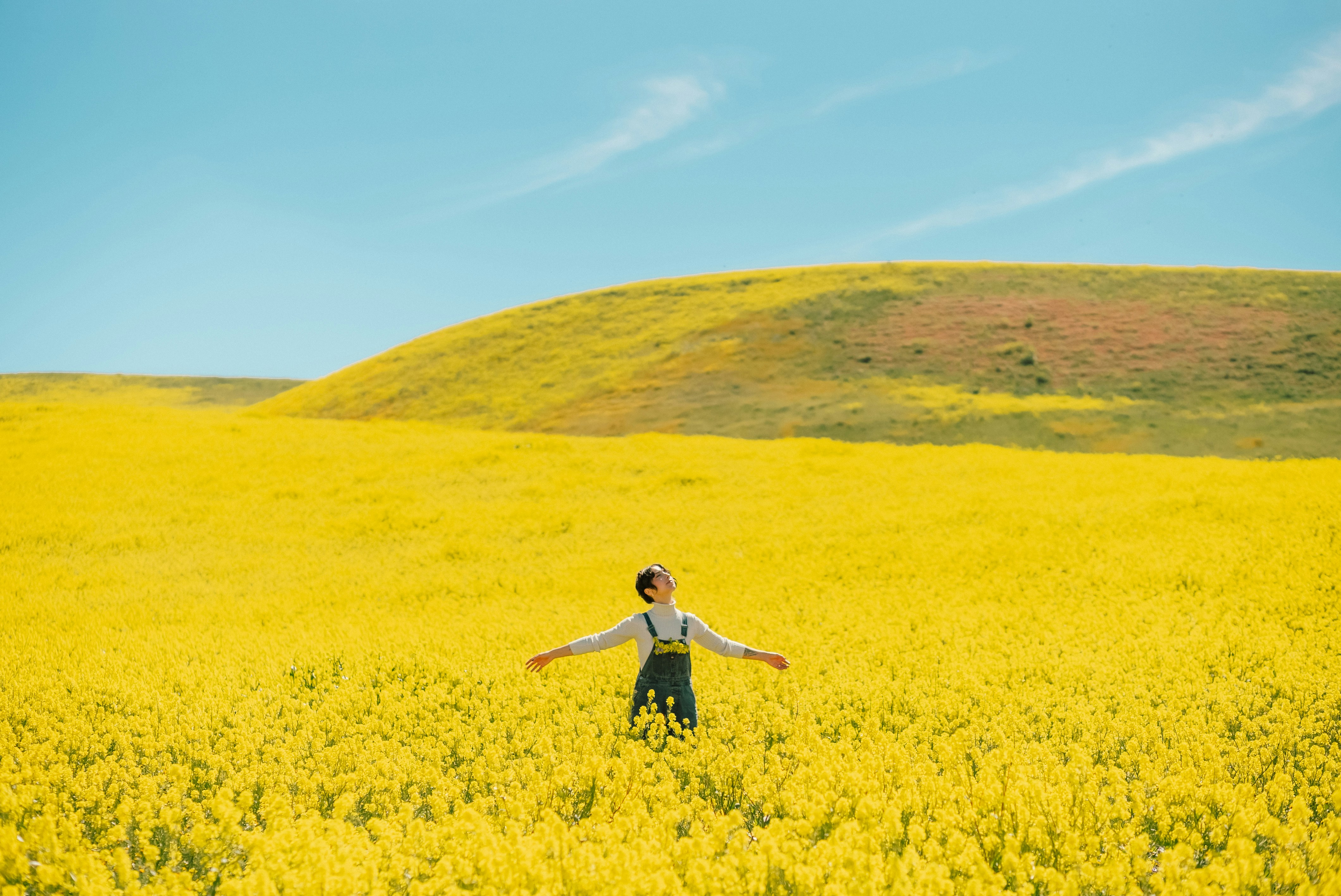 Person standing in a field of yellow flowers