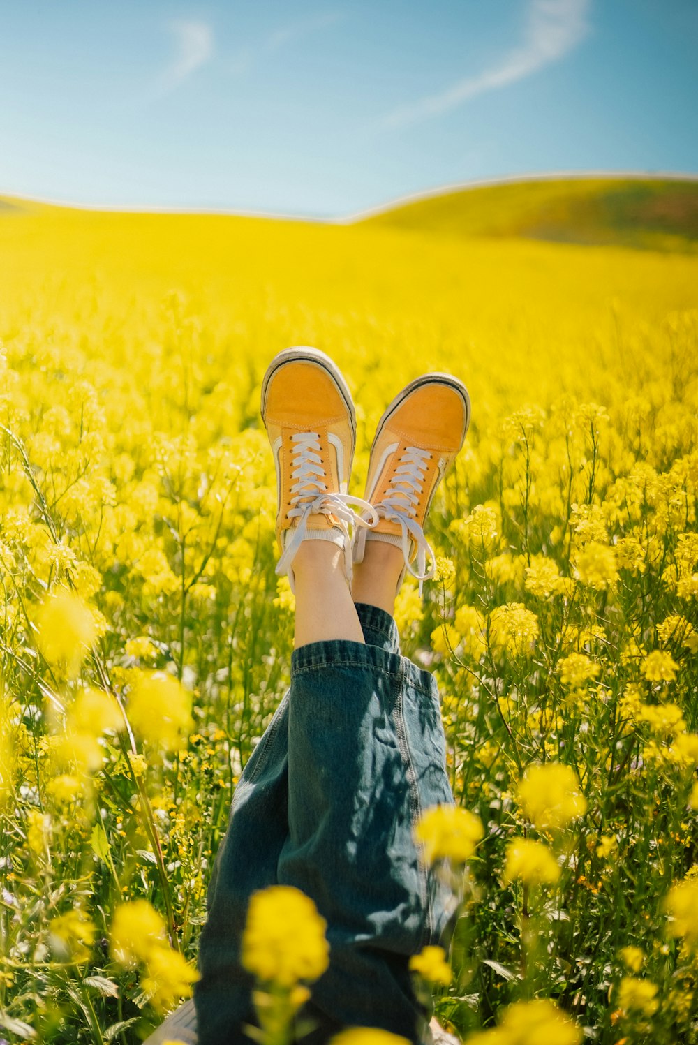uma pessoa deitada em um campo de flores amarelas