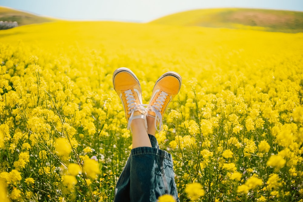 a person standing in a field of yellow flowers