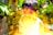 A child, covered in colorful powders, enjoying a celebration, with vibrant colors like yellow and pink on their face and clothes. The background is slightly blurred with hints of greenery and brickwork.