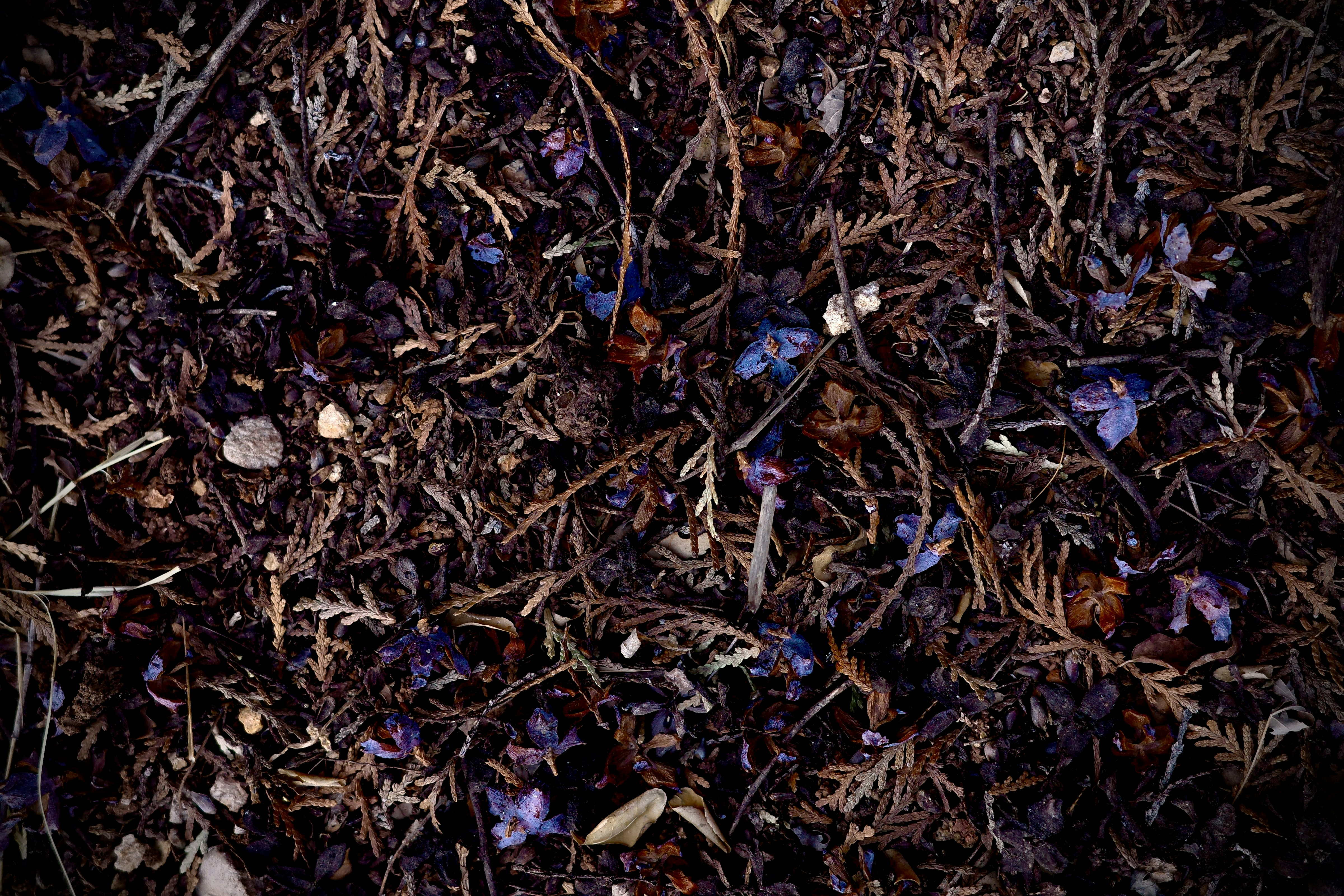 Photo by flynnquatre