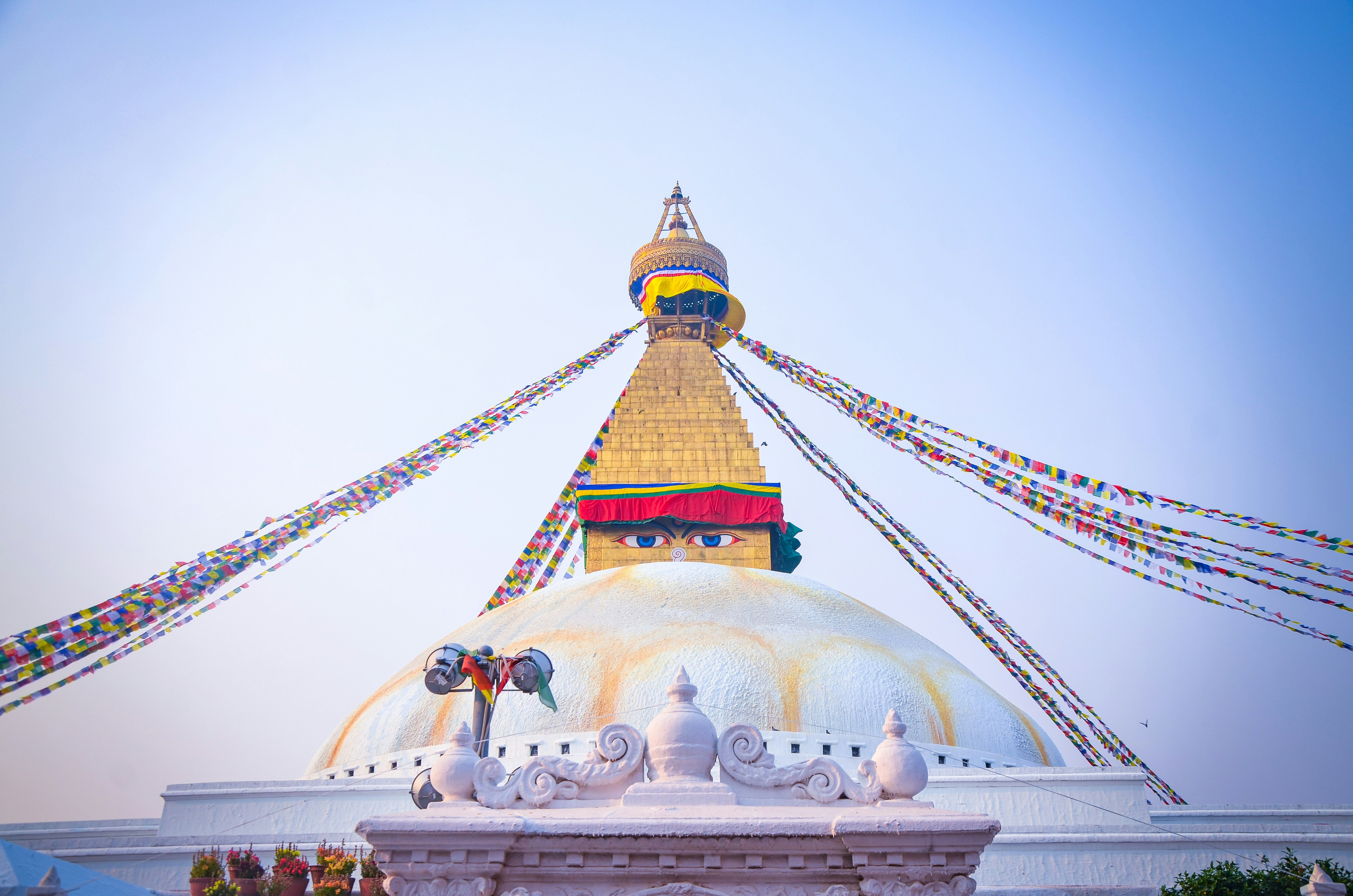 Photo by suzanography