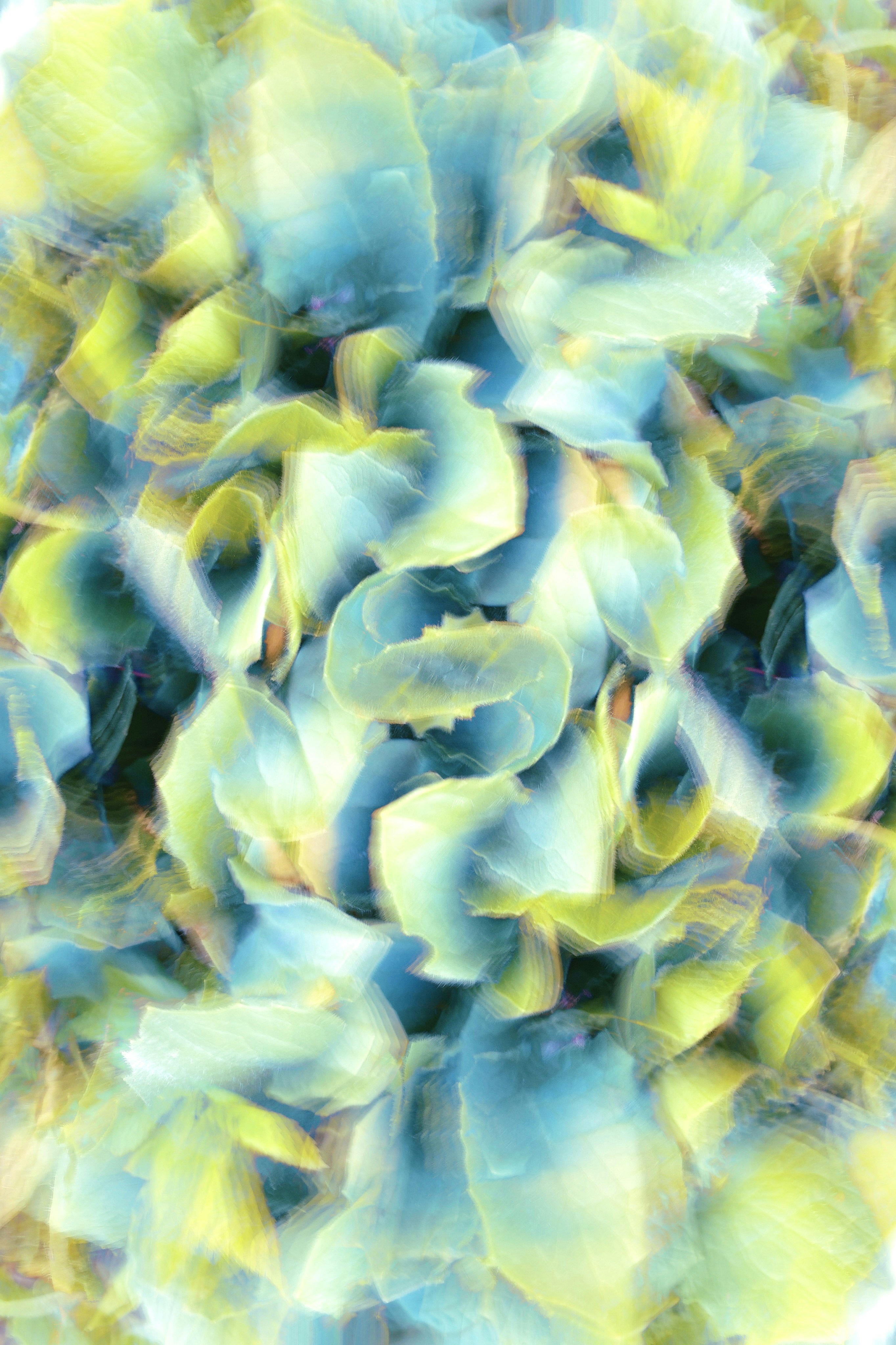 Photo by eugene_golovesov