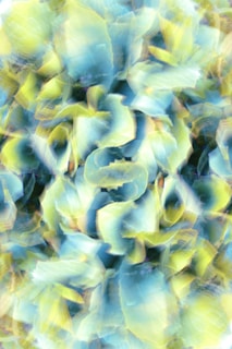 a close up of a bunch of flowers