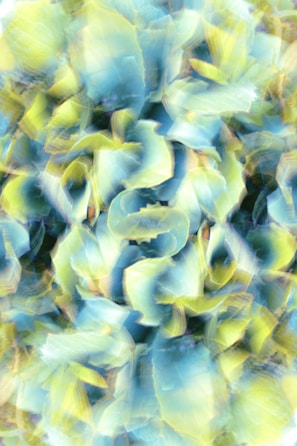 Abstract cyanotype patterns blending organic shapes and rich blue tones.